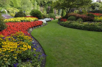 Xeriscape Landscaping