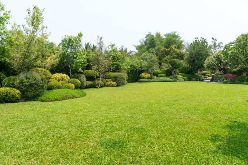 Xeriscaping Service