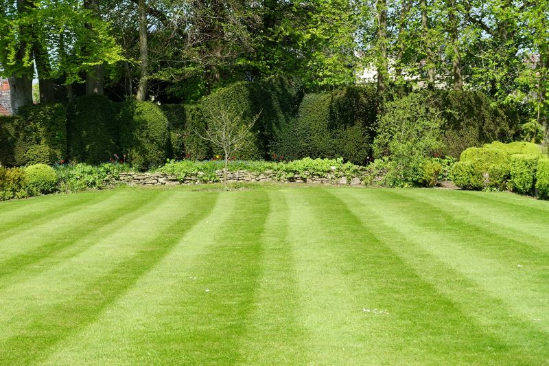 Yard Enlargement