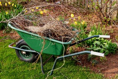 Yard Makeover Service