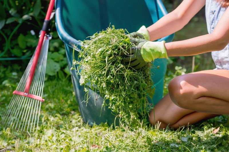 Yard Makeover Service