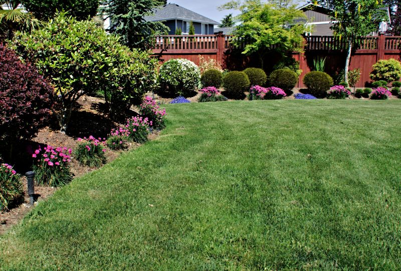 Yard Xeriscaping