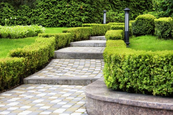 Backyard Remodeling Service
