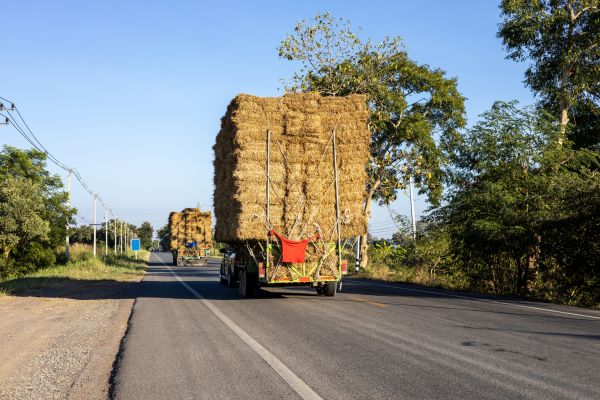 Pine Straw Delivery in Duluth