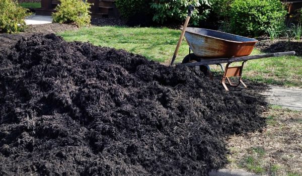 Black Mulch Delivery in Duluth