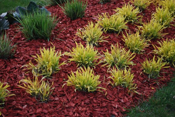 Mulch Landscaping in Duluth