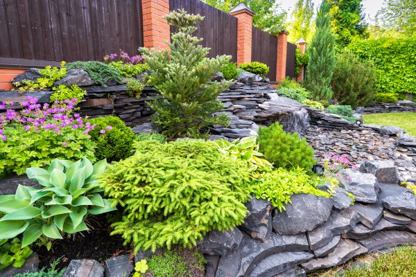 Landscape Remodeling in Duluth