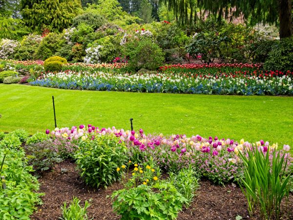 Residential Landscape Design in Duluth