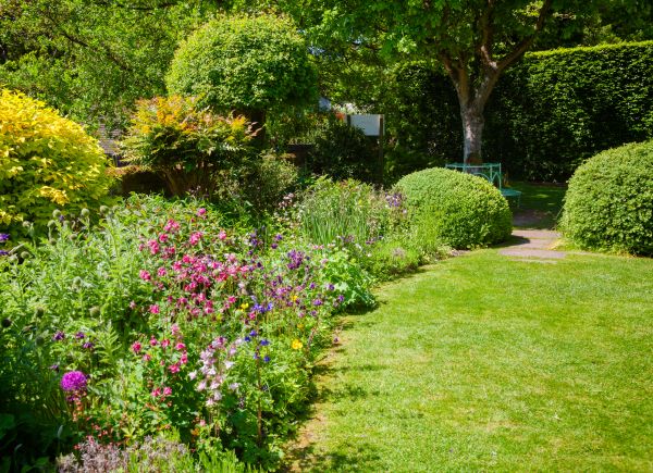 Yard Landscaping Service in Duluth