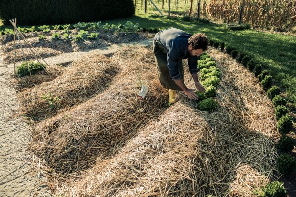 Straw Mulching Service in Duluth