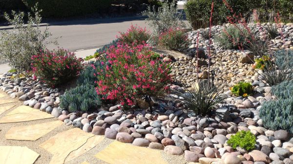 Xeriscape Landscaping in Duluth
