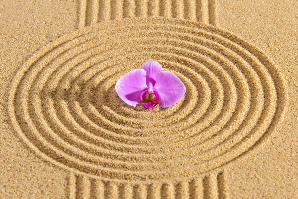 Sand Garden Landscaping in Duluth