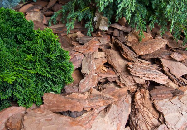 Pine Bark Installation in Duluth