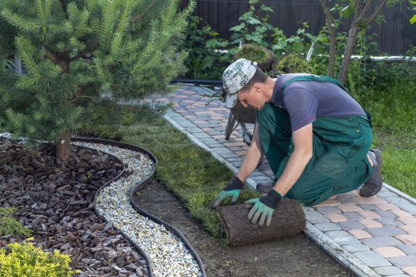 Landscaping Modification in Duluth