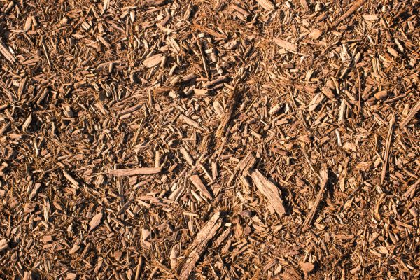 Wood Chips Removal in Duluth