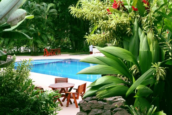 Pool Area Landscaping in Duluth