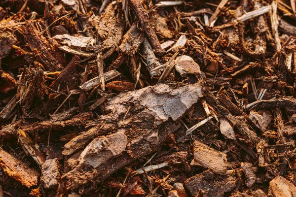Bark Mulch Delivery in Duluth