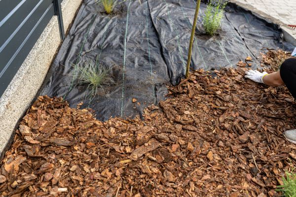Pine Bark Spreading in Duluth