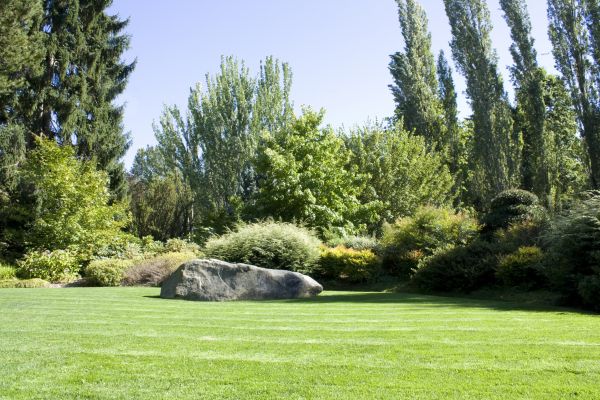 Yard Enlargement in Duluth