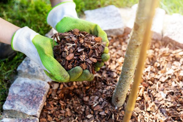 Tree Bark Delivery in Duluth