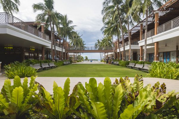 Commercial Lawn Renovation in Duluth