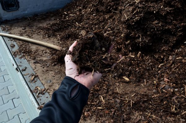 Condo Mulching in Duluth